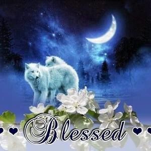 Meet your Posher, Rose